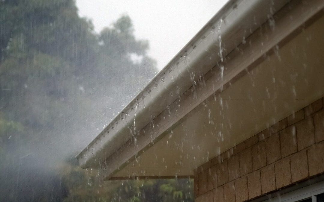 clean your gutters
